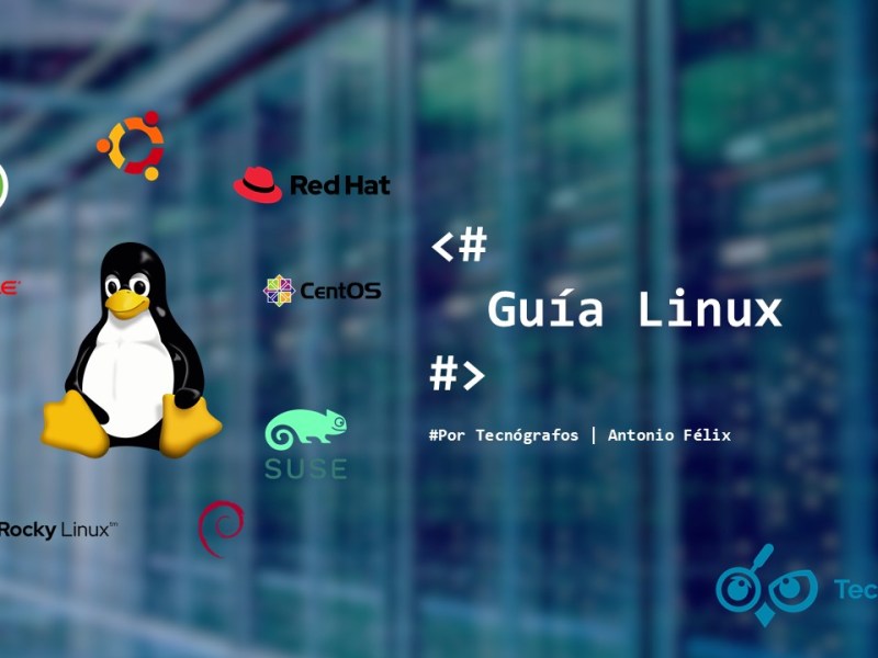Análisis: ¿Qué distribución de Linux escoger para mi&nbsp;negocio?