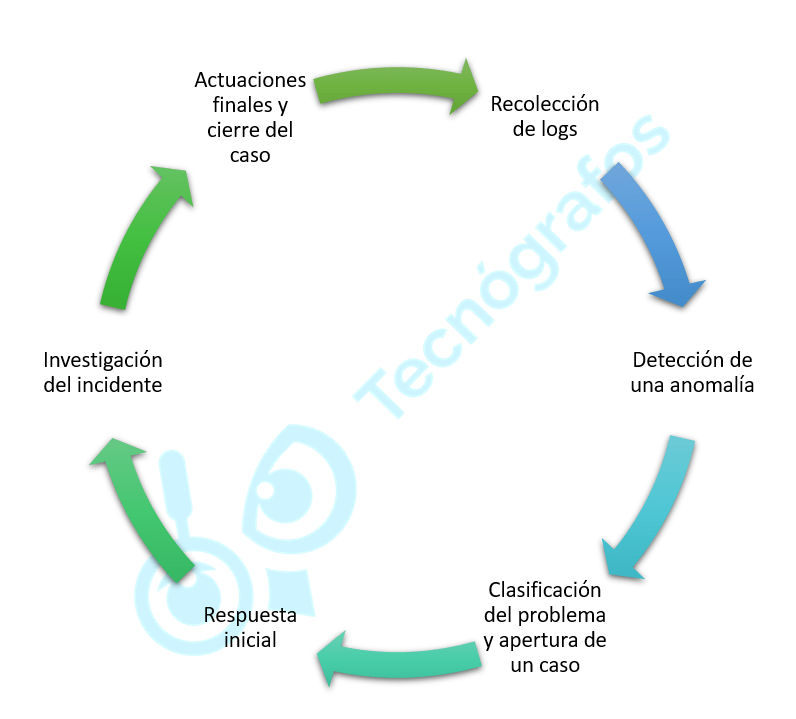 Flujo de trabajo por Tecnógrafos